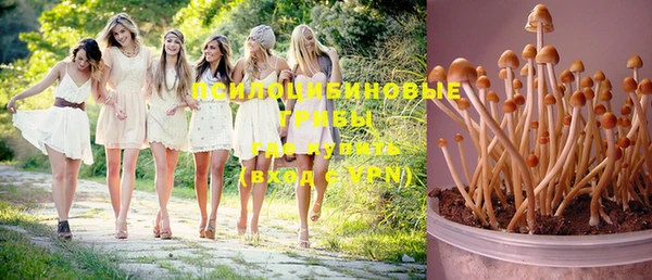 прущая мука Армянск