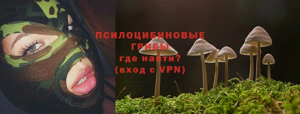 мяу мяу мука Арсеньев