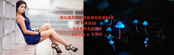 тгк Аркадак