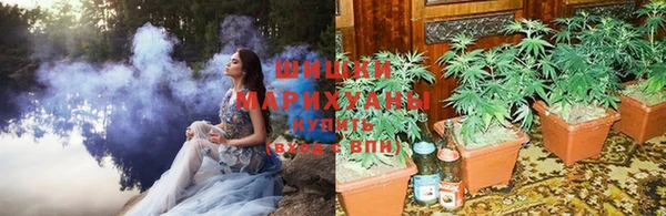 мяу мяу мука Арсеньев