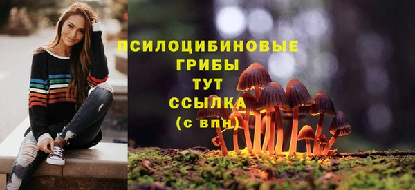 мяу мяу мука Арсеньев