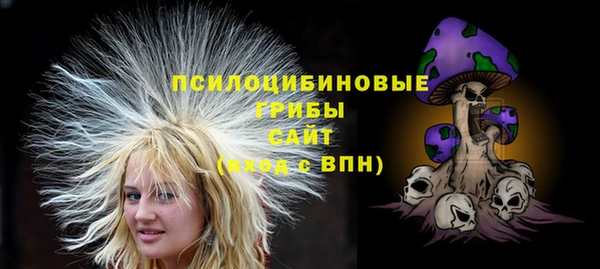 мяу мяу мука Арсеньев