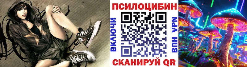 купить закладку Верея Галлюциногенные грибы прущие грибы